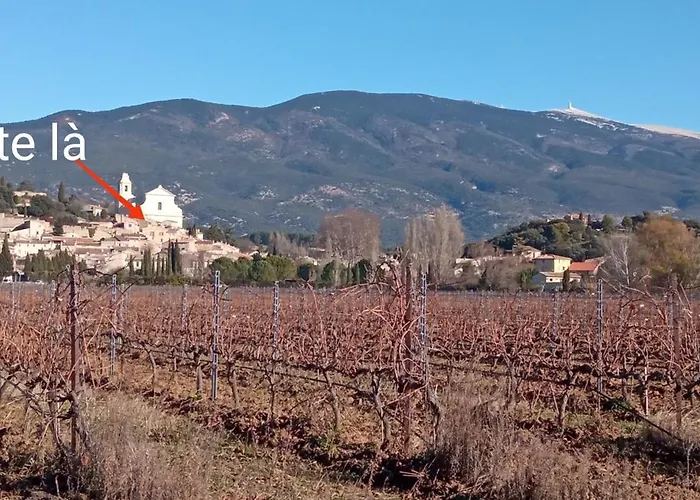Studio Tout Confort En Provence Mont Ventoux.