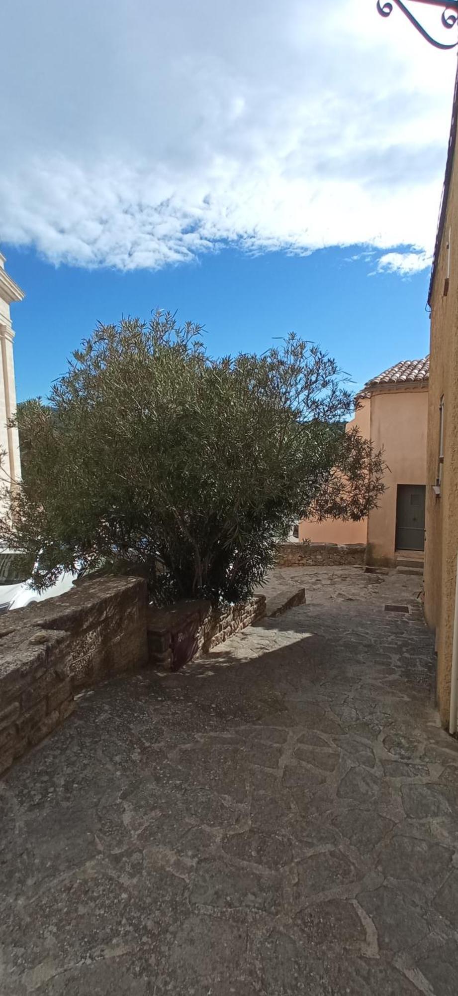 Vakantiehuis Confort En Provence Mont Ventoux. *